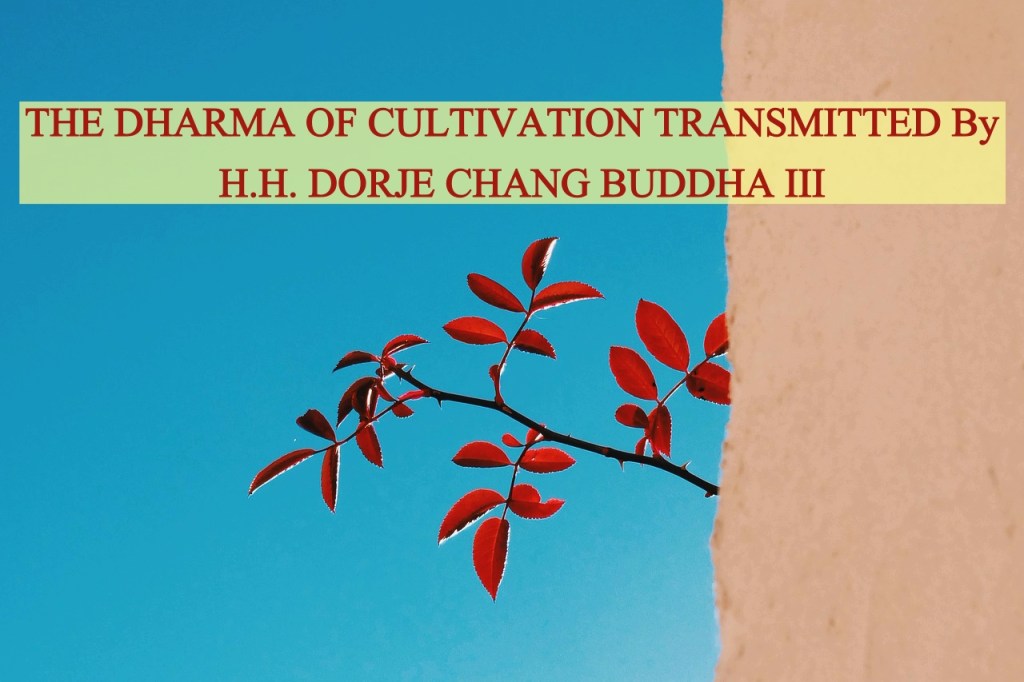 THE DHARMA OF CULTIVATION TRANSMITTED BY H.H. DORJE CHANG BUDDHA III THE DHARMA OF CULTIVATION TRANSMITTED BY H.H. DORJE CHANG BUDDHA III