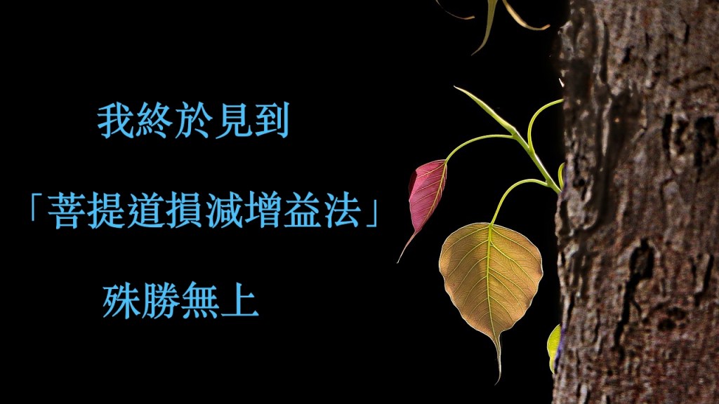 我終於見到 「菩提道損減增益法」 殊勝無上