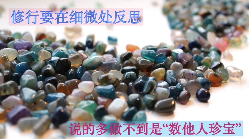 修行要在细微处反思，说的多做不到是“数他人珍宝”，危险