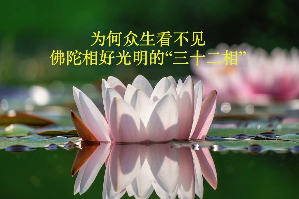 【佛门观察】为何众生看不见佛陀相好光明的“三十二相”？