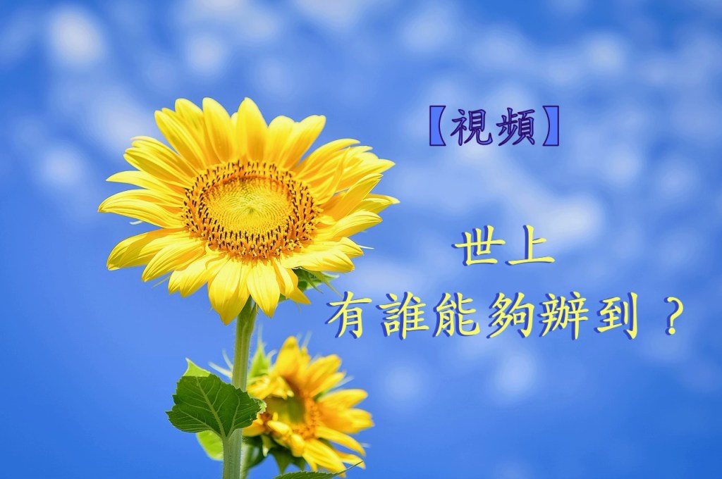 【視頻】世上有誰能夠辦到？