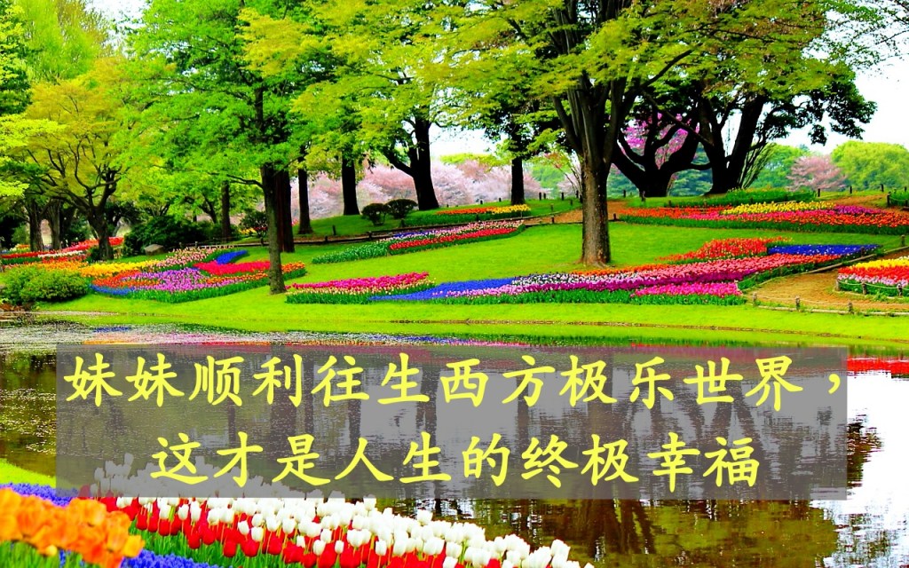 妹妹顺利往生西方极乐世界，这才是人生的终极幸福