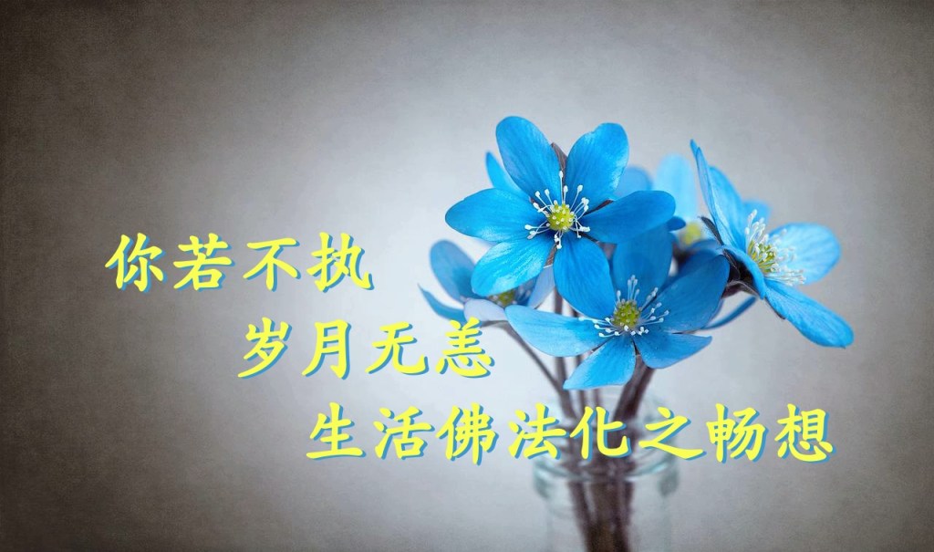“你若不执，岁月无恙”生活佛法化之畅想