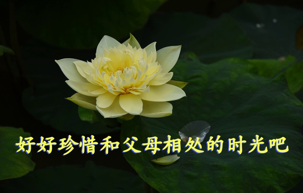 好好珍惜和父母相处的时光吧