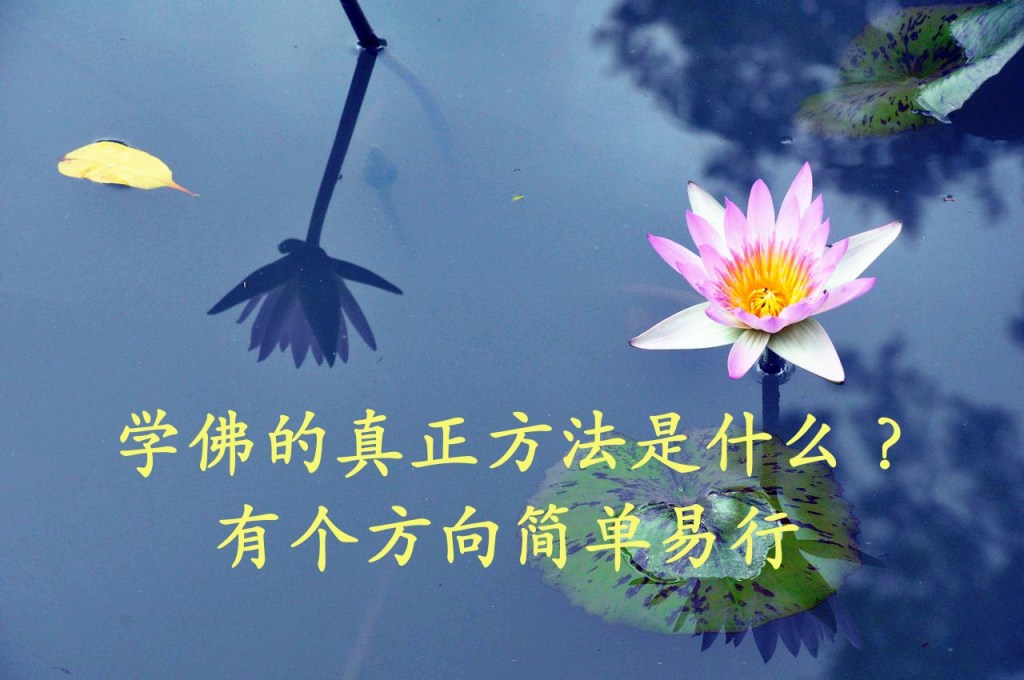 学佛的真正方法是什么？有个方向简单易行