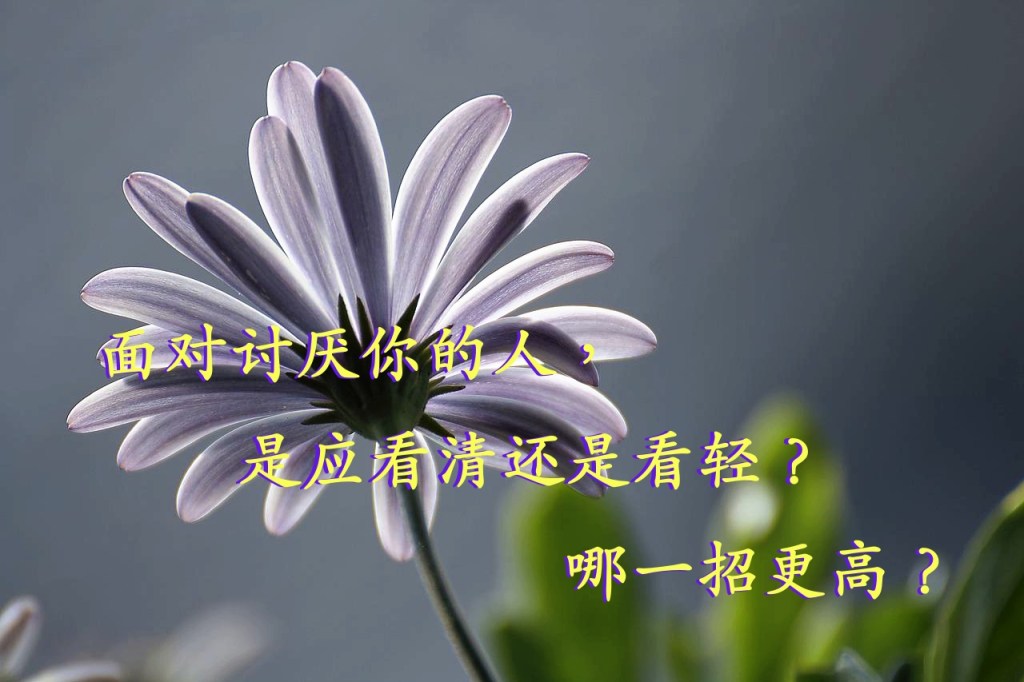 面对讨厌你的人，是应看清还是看轻？哪一招更高？