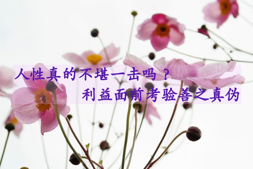 人性真的不堪一击吗？利益面前考验善之真伪