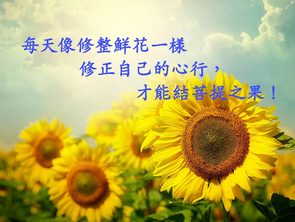 每天像修整鮮花一樣修正自己的心行，才能結菩提之果！
