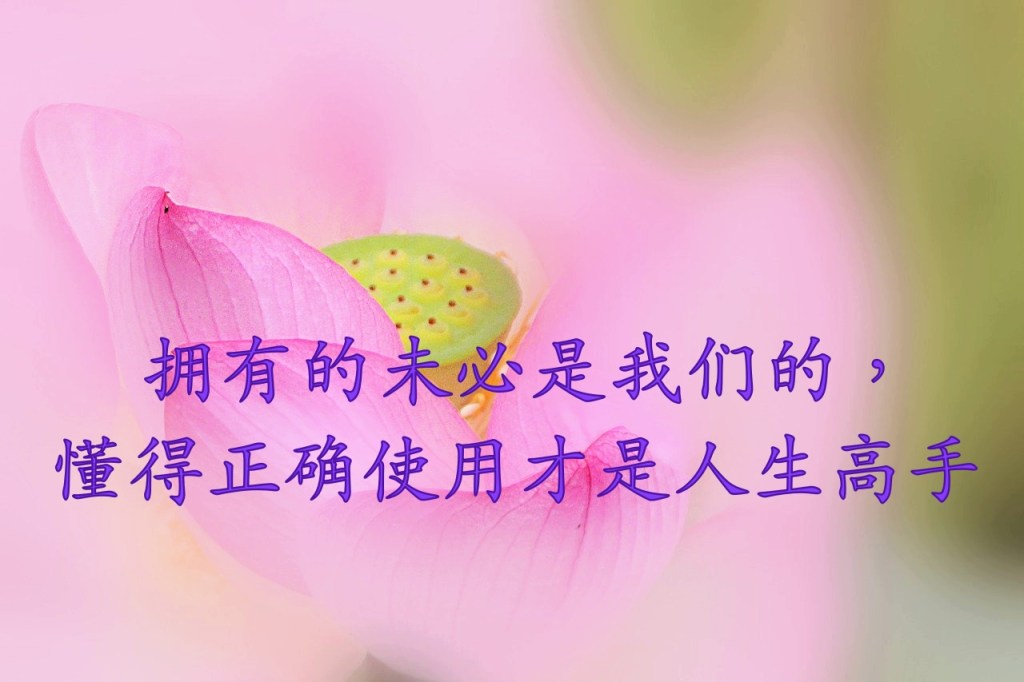 拥有的未必是我们的，懂得正确使用才是人生高手