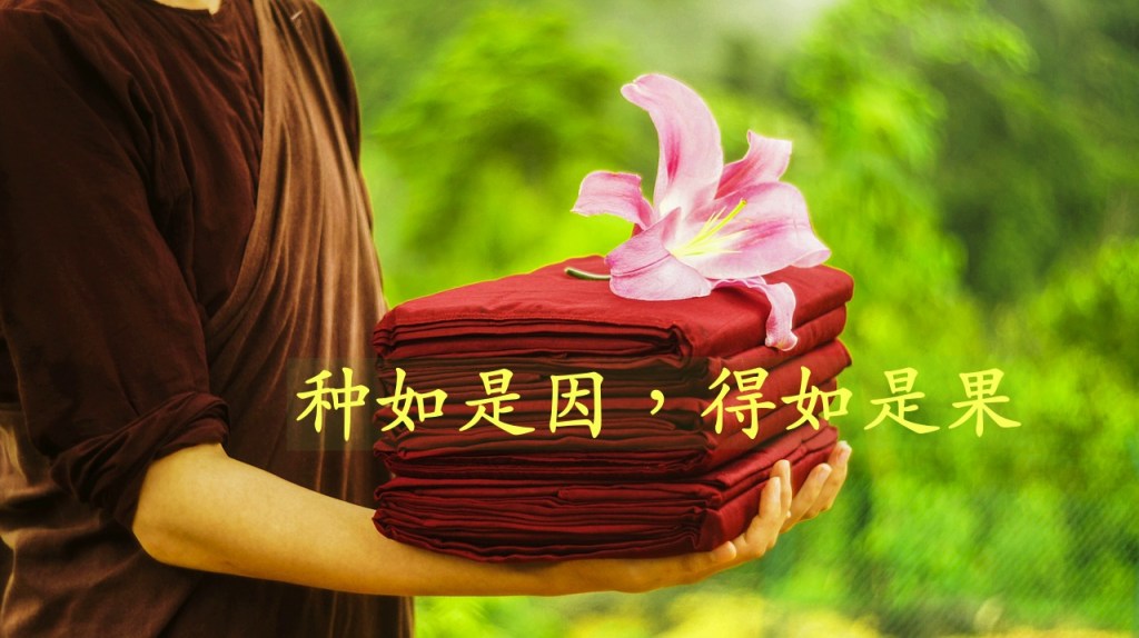 种如是因，得如是果