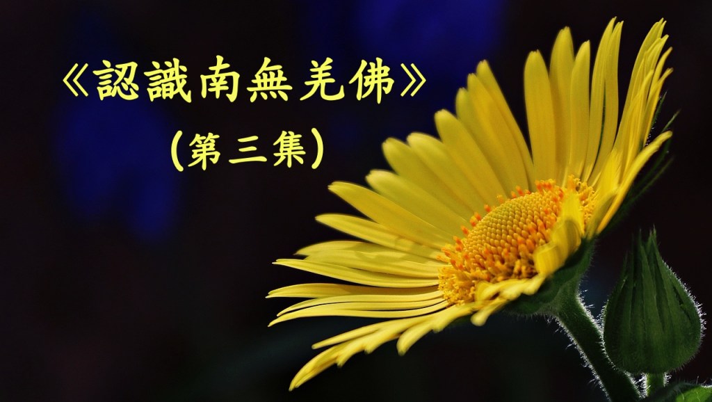 《認識南無羌佛》(第三集)