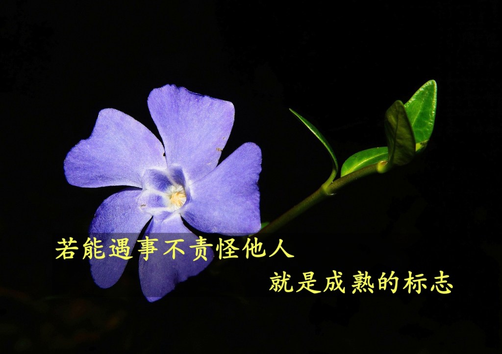 若能遇事不责怪他人，就是成熟的标志