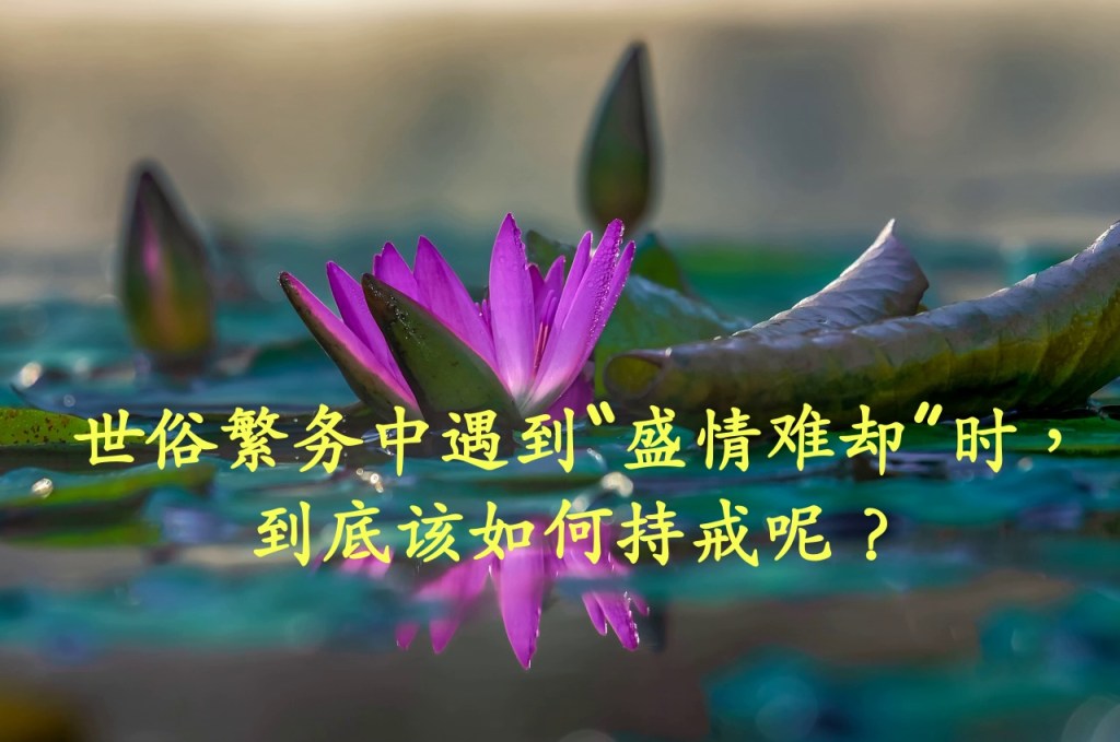 世俗繁务中遇到“盛情难却”时，到底该如何持戒呢？