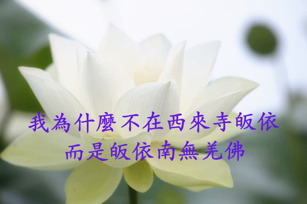 我為什麼不在西來寺皈依,而是皈依南無羌佛 我為什麼不在西來寺皈依,而是皈依南無羌佛