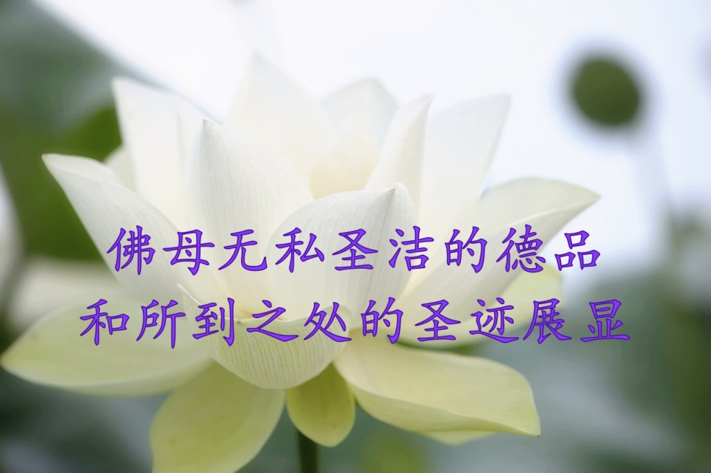 佛母无私圣洁的德品和所到之处的圣迹展显 佛母无私圣洁的德品和所到之处的圣迹展显