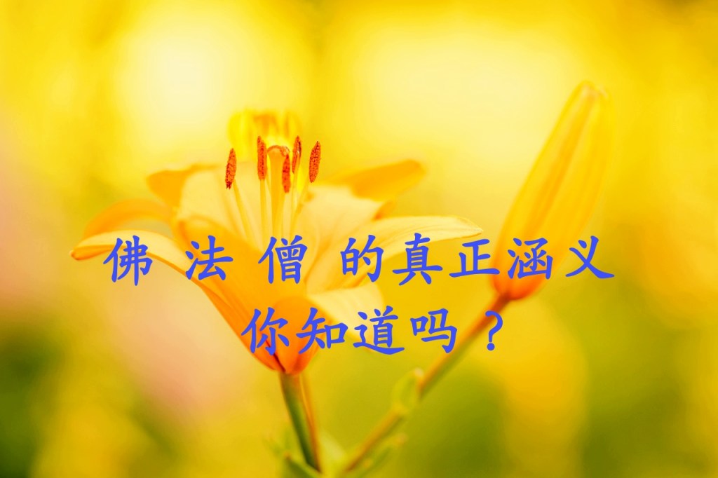 佛 法 僧 的真正涵义 你知道吗? 佛 法 僧 的真正涵义 你知道吗?