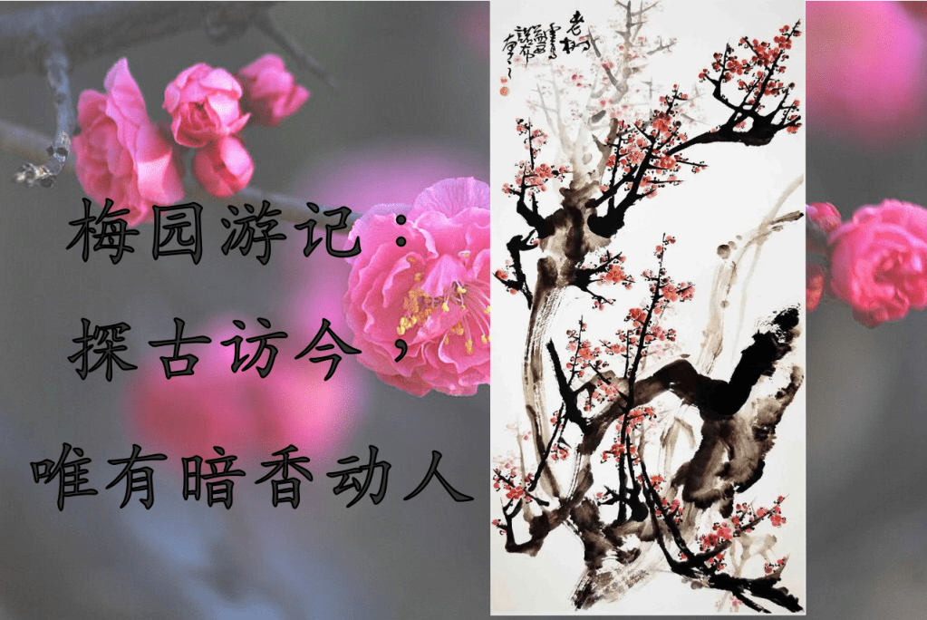 梅园游记:探古访今,唯有暗香动人 梅园游记:探古访今,唯有暗香动人