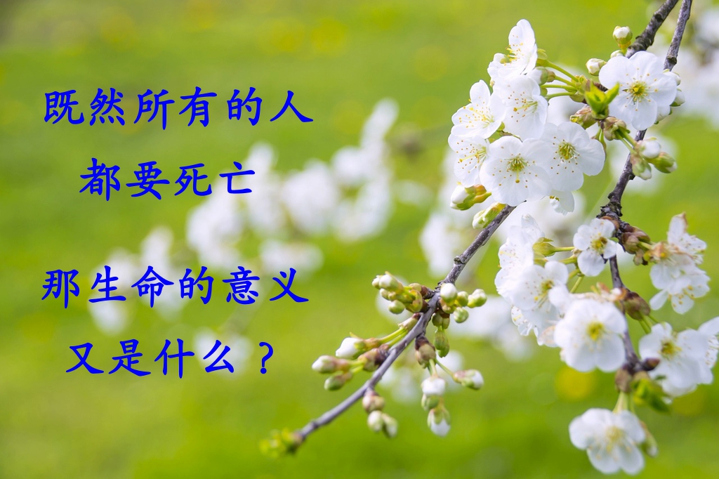 既然所有的人都要死亡 那生命的意义又是什么？
