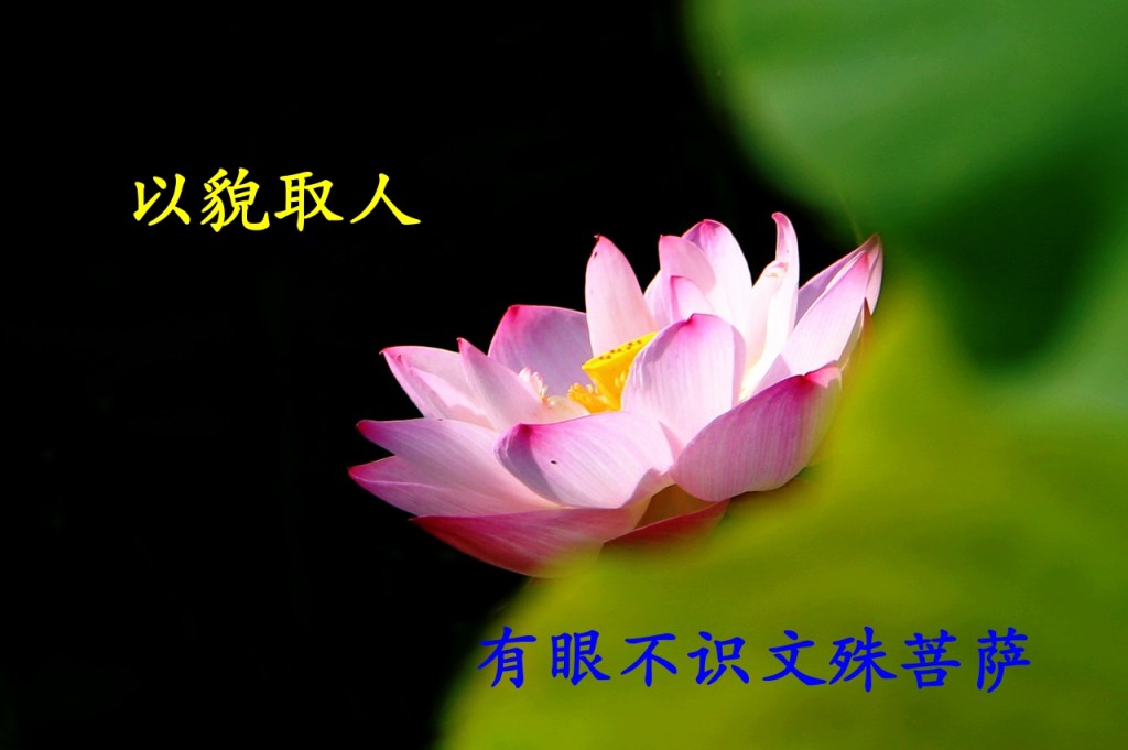 以貌取人,有眼不识文殊菩萨 以貌取人,有眼不识文殊菩萨