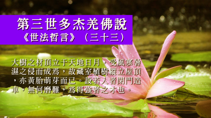 第三世多杰羌佛說《世法哲言》（三十三）