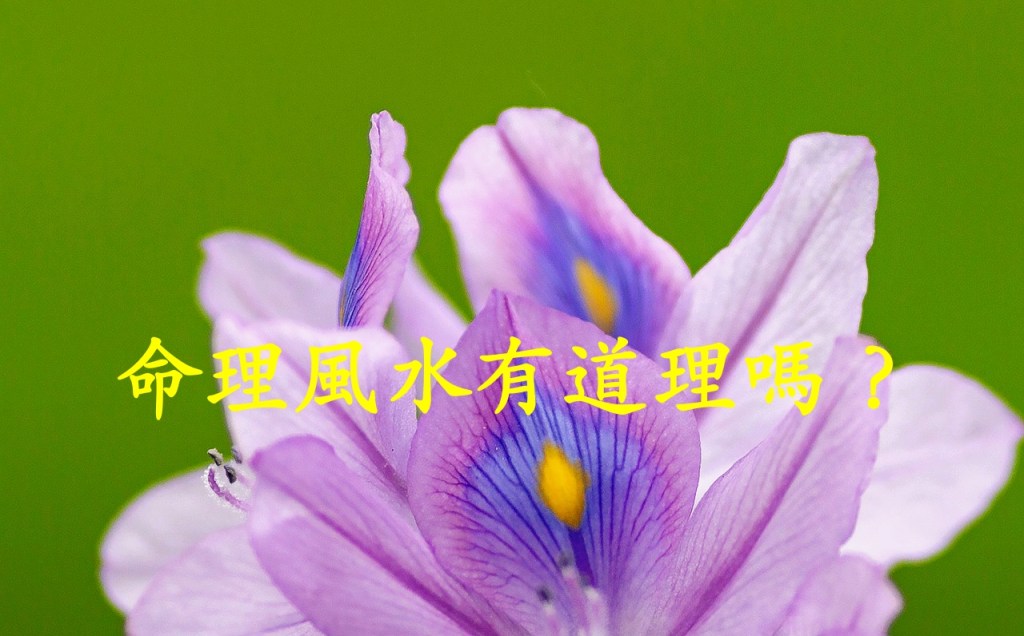 命理風水有道理嗎? 命理風水有道理嗎?
