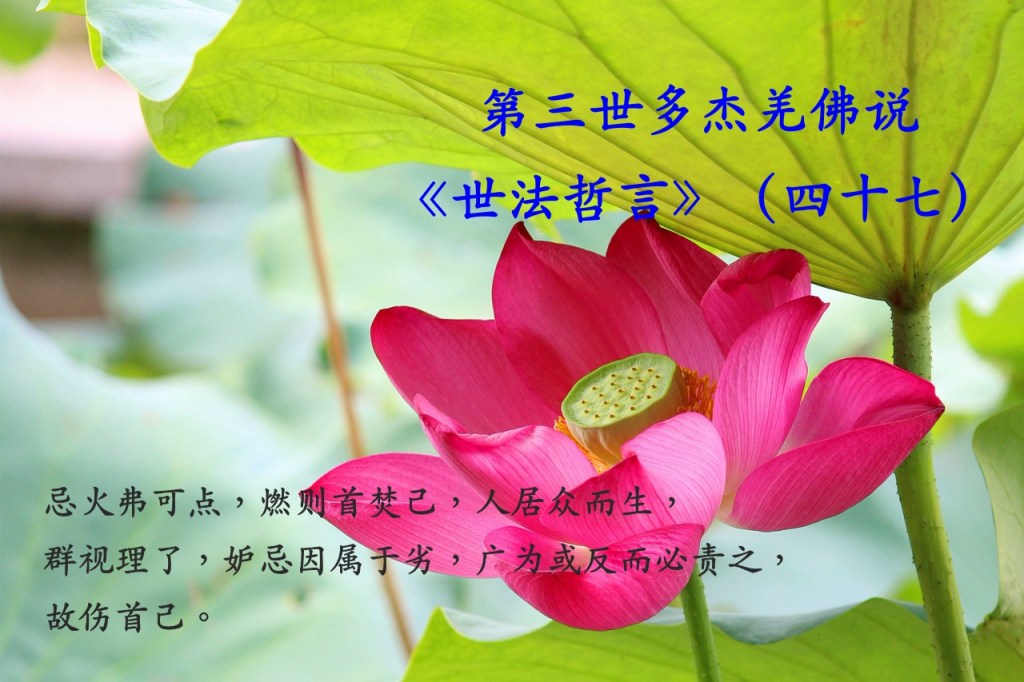第三世多杰羌佛说《世法哲言》（四十七）