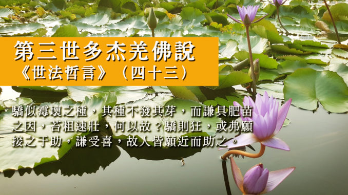 第三世多杰羌佛說《世法哲言》（四十三）