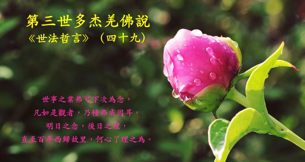 第三世多杰羌佛說《世法哲言》（四十九）