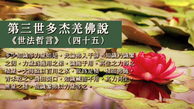 第三世多杰羌佛說《世法哲言》（四十五）