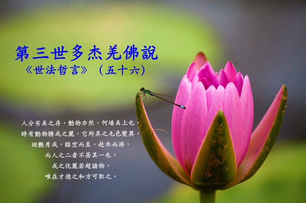 第三世多杰羌佛說《世法哲言》（五十六）