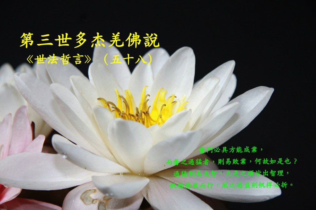 第三世多杰羌佛說《世法哲言》（五十八）