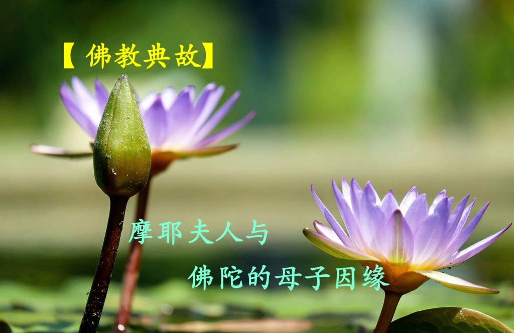 【 佛教典故】摩耶夫人与佛陀的母子因缘