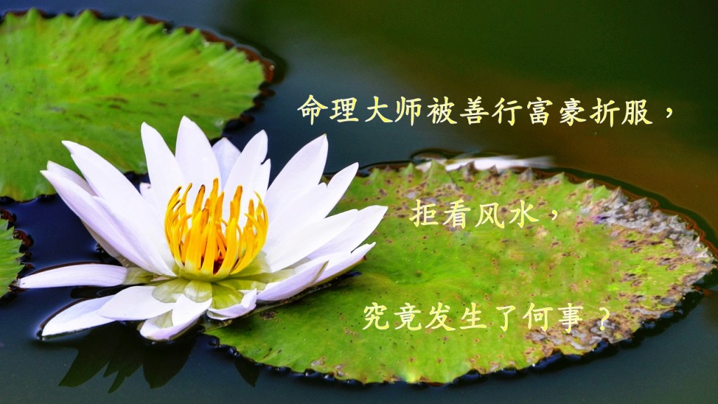 命理大师被善行富豪折服，拒看风水，究竟发生了何事？