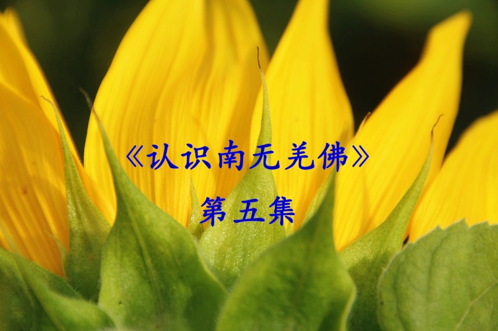 《认识南无羌佛》第五集