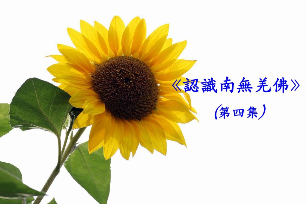 《認識南無羌佛》(第四集) 《認識南無羌佛》(第四集)