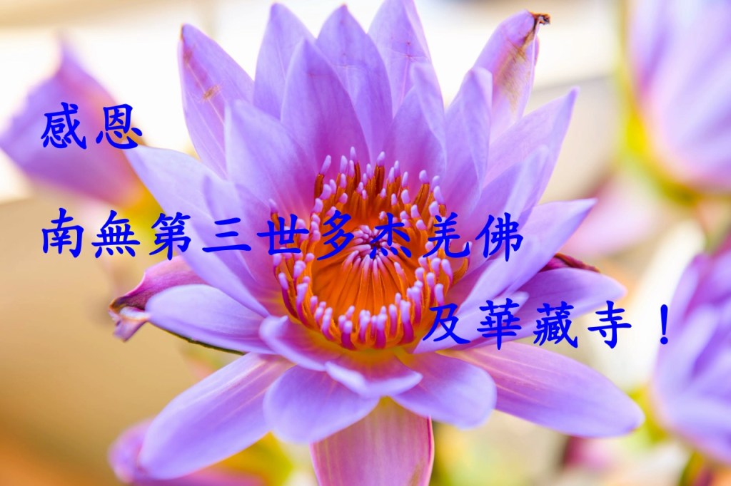 感恩南無第三世多杰羌佛及華藏寺! 感恩南無第三世多杰羌佛及華藏寺!