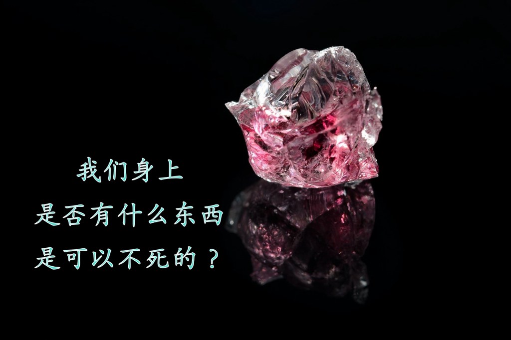 我们身上是否有什么东西是可以不死的？