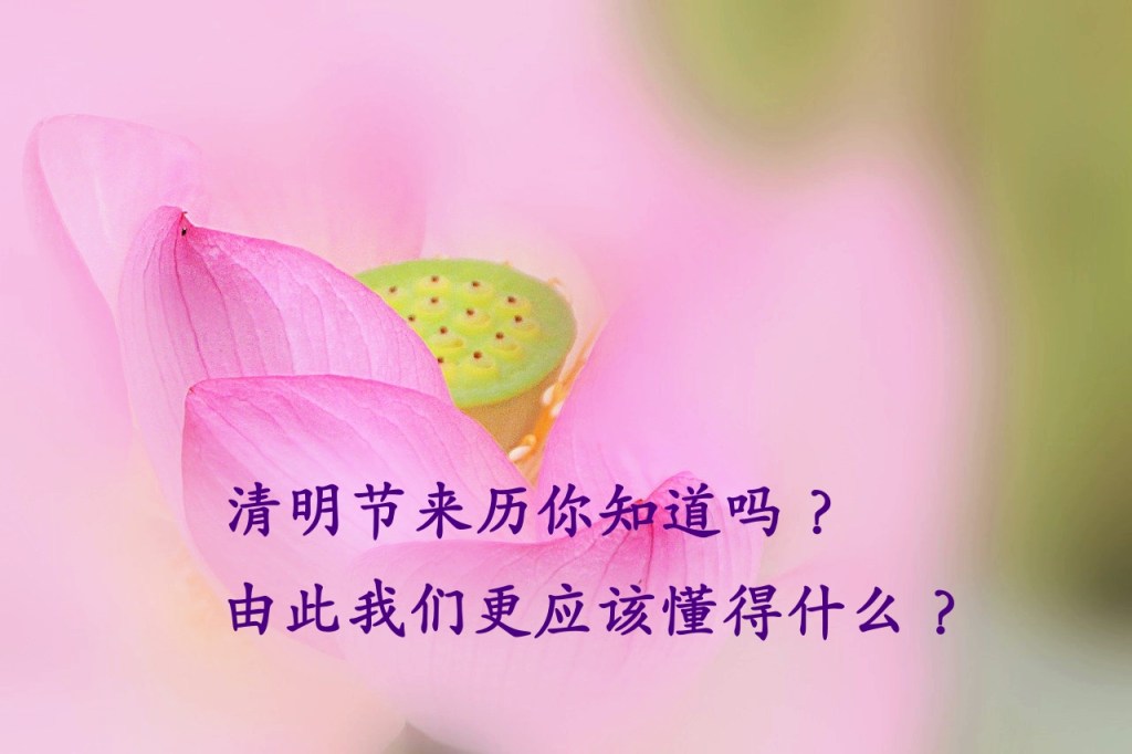 清明节来历你知道吗？由此我们更应该懂得什么？