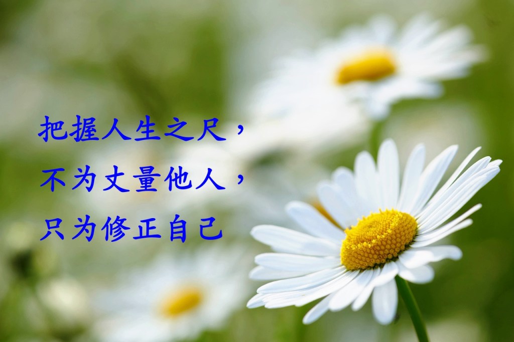 把握人生之尺，不为丈量他人，只为修正自己