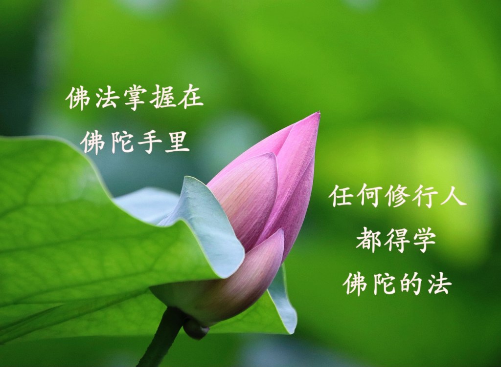 佛法掌握在佛陀手里,任何修行人都得学佛陀的法 佛法掌握在佛陀手里,任何修行人都得学佛陀的法