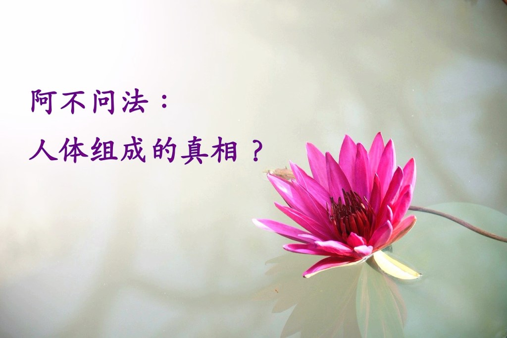 阿不问法：人体组成的真相？