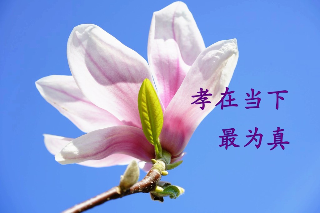 孝在当下最为真