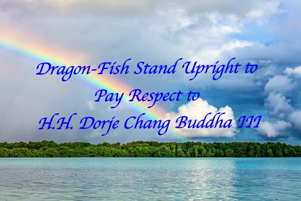 Dragon-Fish Stand Upright to Pay Respect to H.H. Dorje Chang Buddha III