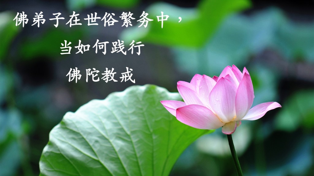 佛弟子在世俗繁务中，当如何践行佛陀教戒