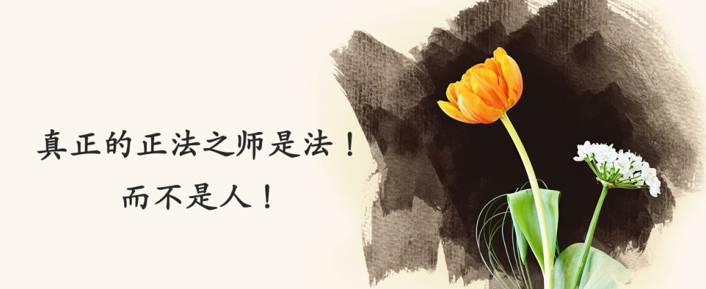 真正的正法之师是法！而不是人！