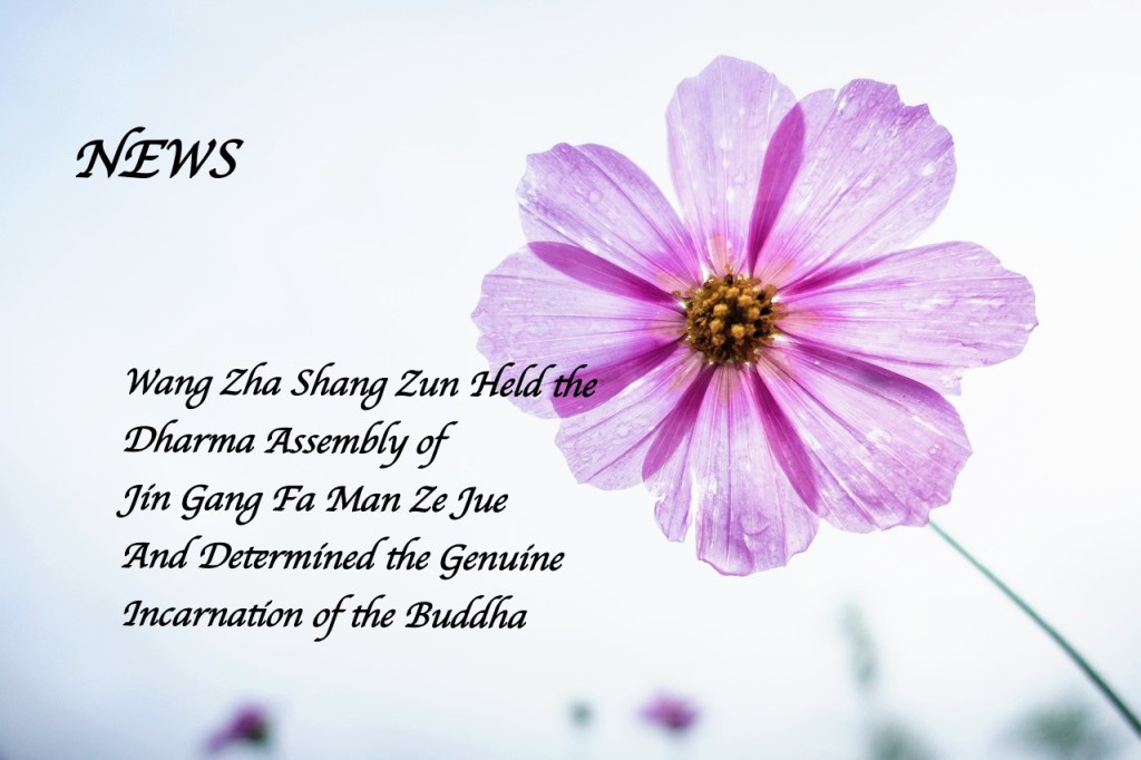 Wang Zha Shang Zun Held the Dharma Assembly of Jin Gang Fa Man Ze Jue And Determined the Genuine Incarnation of the Buddha