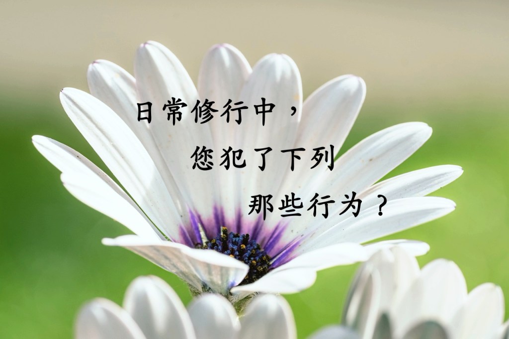 日常修行中,您犯了下列那些行为? 日常修行中,您犯了下列那些行为?