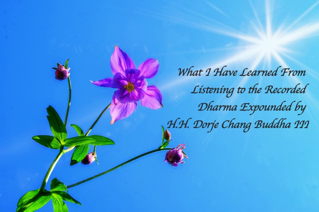 What I Have Learned From Listening to the Recorded Dharma Expounded by H.H. Dorje Chang Buddha III What I Have Learned From Listening to the Recorded Dharma Expounded by H.H. Dorje Chang Buddha III