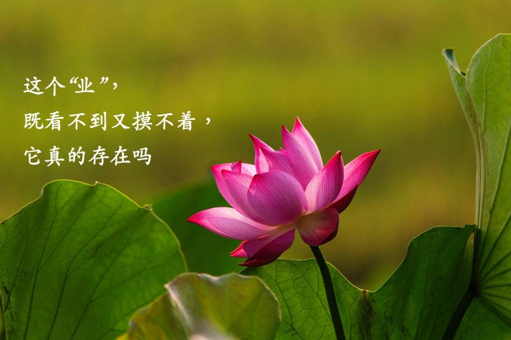 这个“业”，既看不到又摸不着，它真的存在吗