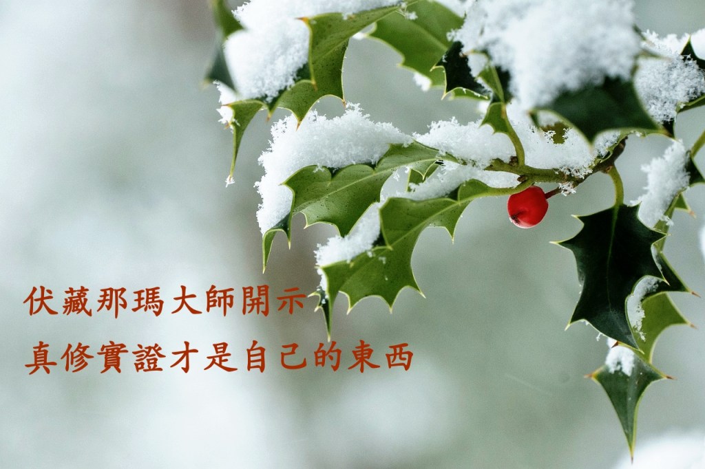 伏藏那瑪大師開示，真修實證才是自己的東西